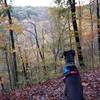 Peaking over Squaw Run to the nearby Trillium Trail system with fall colors just starting to show.