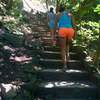 The many stairs on the way out of the Niagara Gorge on the way to Devil's Hole trailhead.