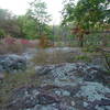 Some of the rocky terrain just off the Taum Sauk portion of the Ozark Trail.