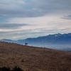 Looking towards the San Gabriel Mountains.