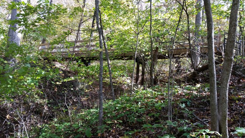 Bridge Trail bridge over ravine.