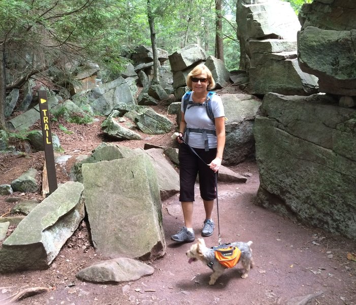 Midway Crevasse - Highland Trail.