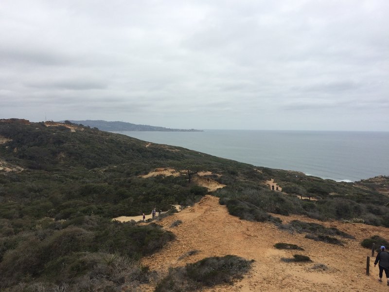 Overcast day in Torrey Pines State Natural Reserve.