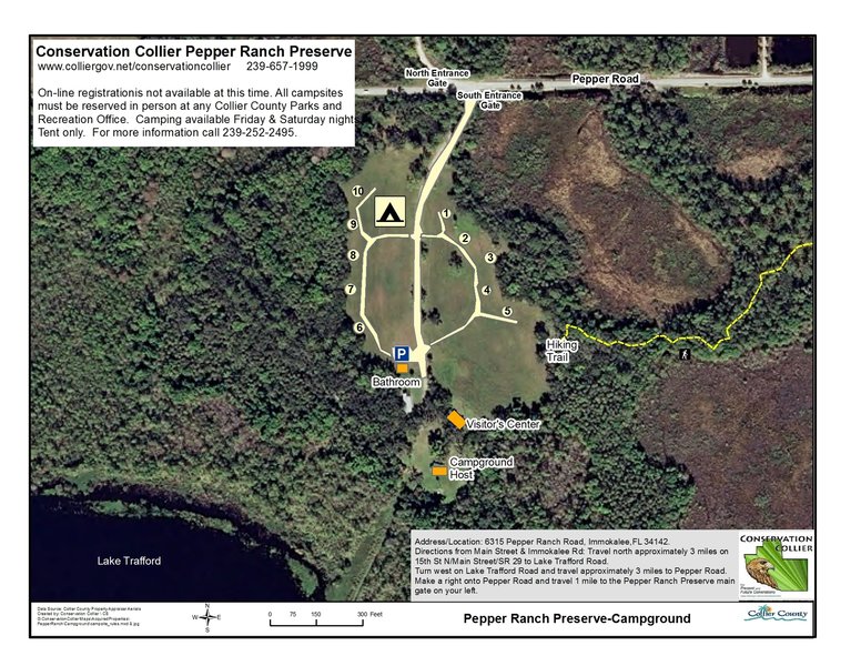 The Campground Road circles the 10-space primitive campsite where each site has a table, fire pit, tent site and food pole.