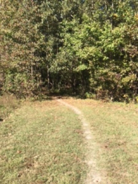 Poor Creek Trail leading into the woods past Taylor Farm/Site of Fort Morton.