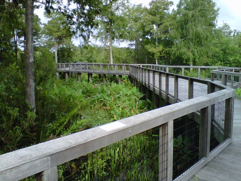 The boardwalk at Freedom Park offers a lovely stroll through an urban wetland.