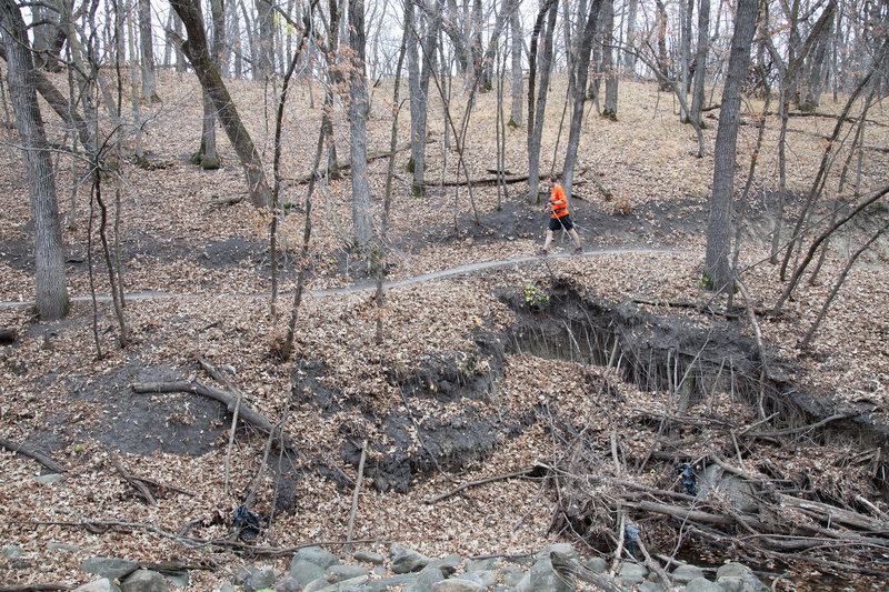 A runner at Turtle River State Park.