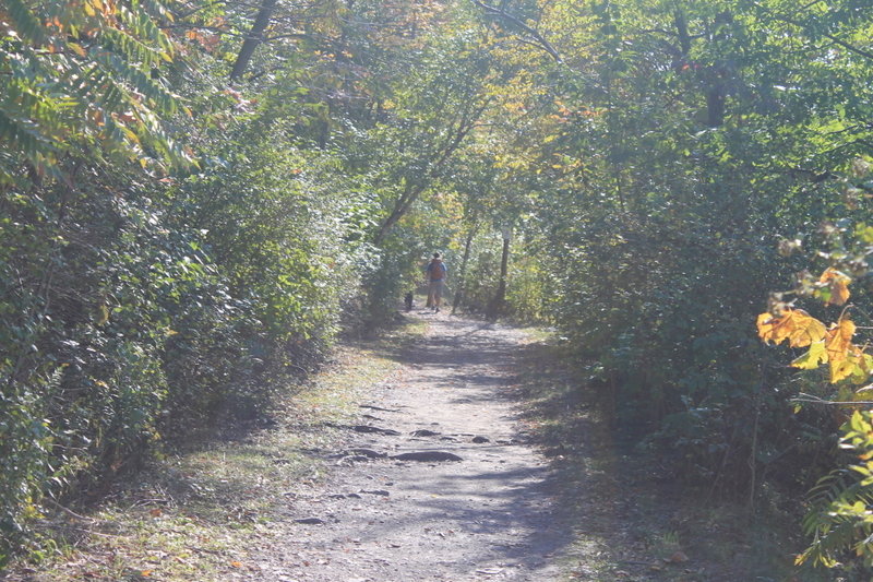 Hikers along the trail.