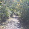 Hikers along the trail.