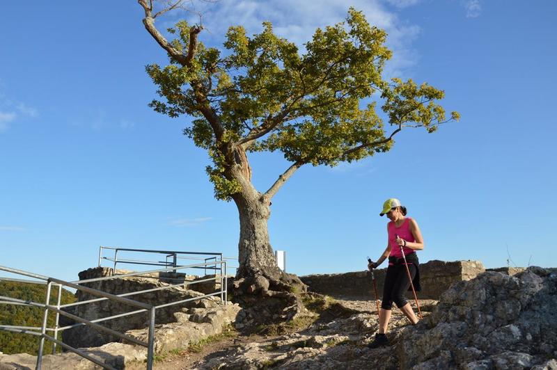 On the old castle ruin Neideck.