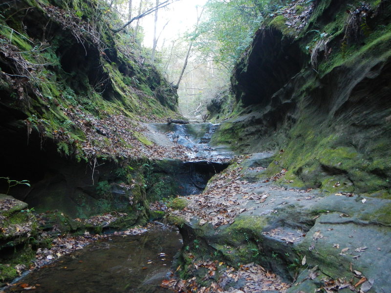 Small falls like this are a scenic treat!