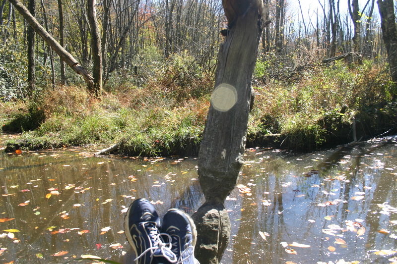 Enjoying a sunny day near the water's edge.