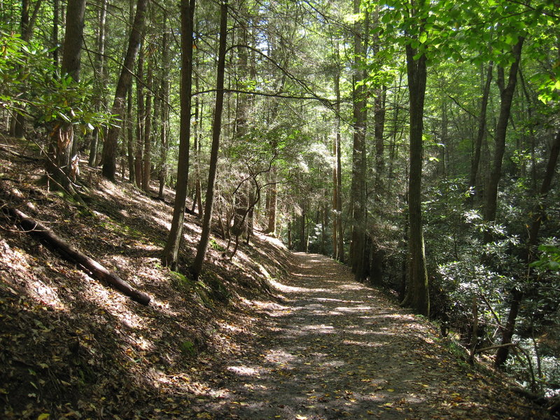 The Stone Mountain Loop Trail is a pleasant escape