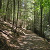 The Stone Mountain Loop Trail is a pleasant escape