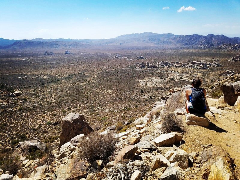 Ryan Mountain. Joshua Tree National Park.