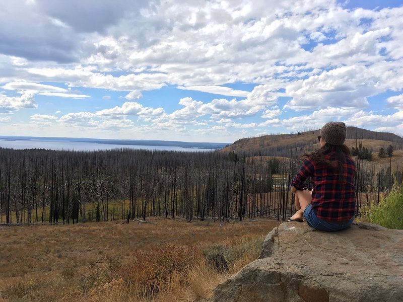 Yellowstone National Park.