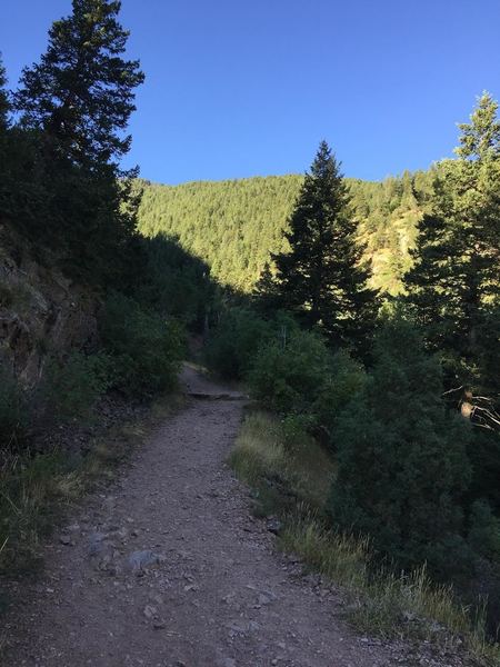 Rattlesnake Gulch Trail.