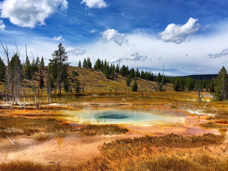 Yellowstone National Park.