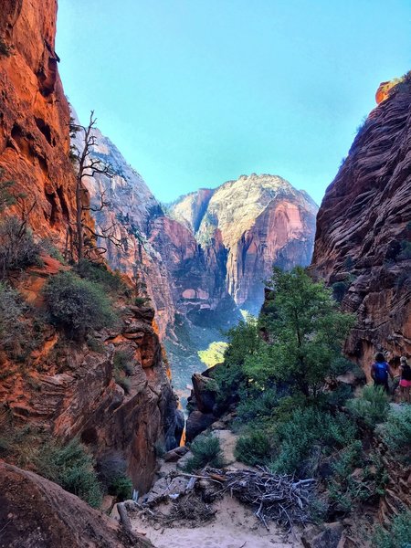 Zion National Park.