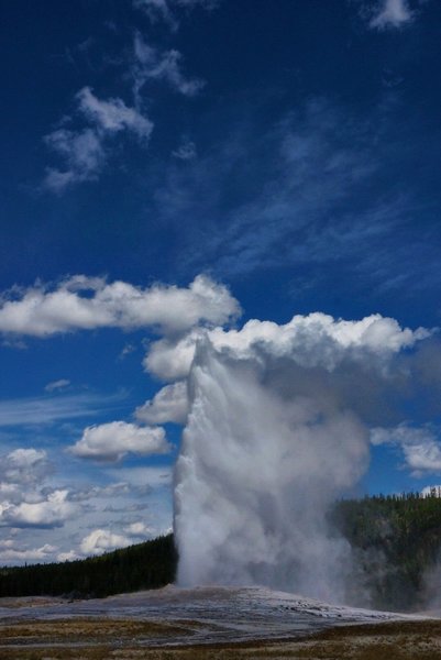 Old Faithful. Yellowstone National Park.