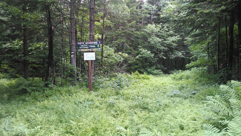 A section along the Violette Settlement Trail