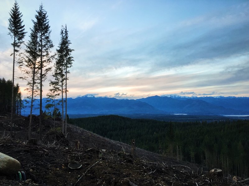 Sunset over the clear cut from the Wildcat Trail, Green Mountain State Forest.