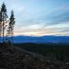 Sunset over the clear cut from the Wildcat Trail, Green Mountain State Forest.