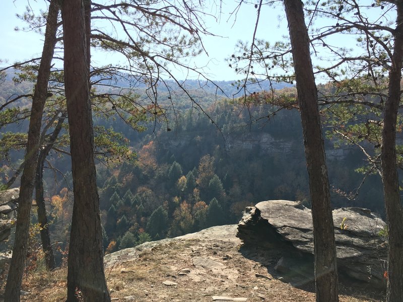 An overlook facing the Obed River.