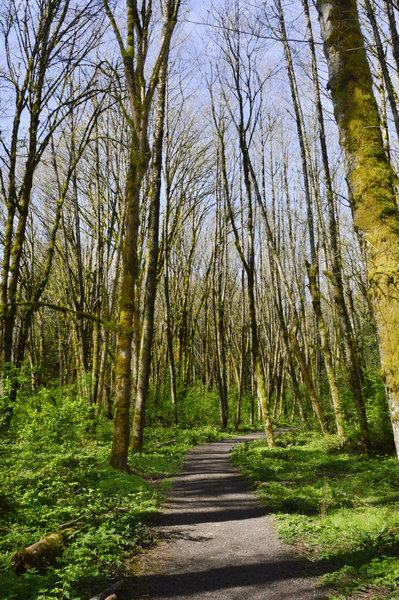 Trail near the Nature Center.