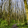 Trail near the Nature Center.