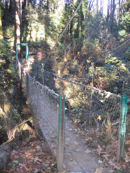 The Terry Riley suspension bridge along the Lewis and Clark Trail.