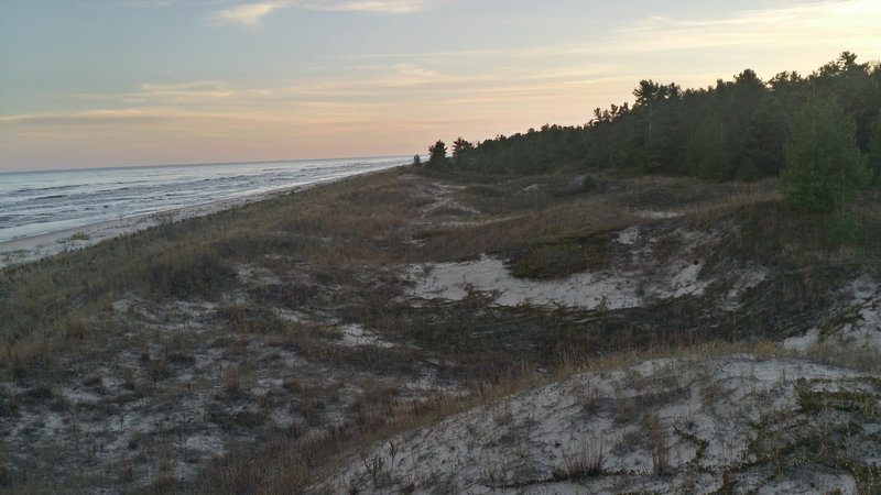 A nice shot of the lake, beach, and forest.