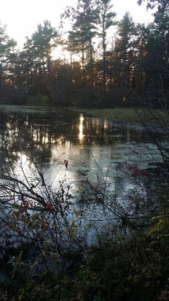 A pond on the Ice Age Trail.