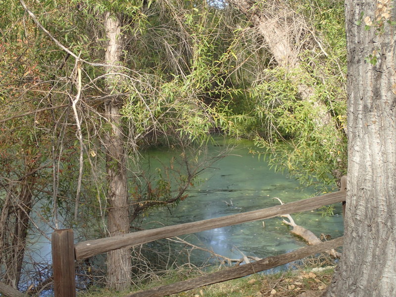 A view of Palm Lake.