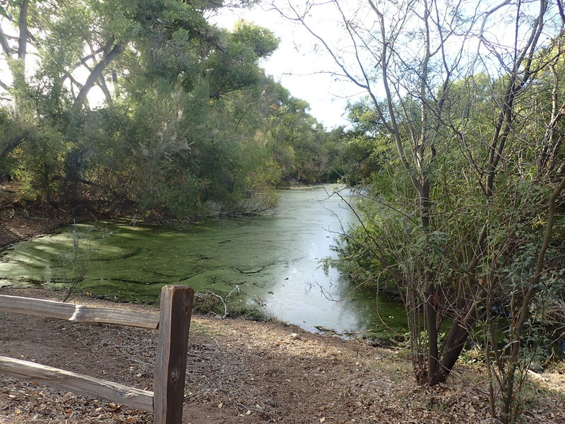 Another view of Palm Lake.