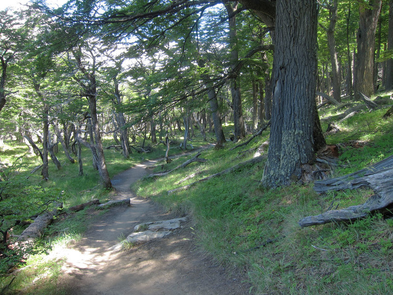 Laguna Torre Trail.