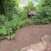 Devil's Pulpit is a rock outcropping overlooking the valley and the ruins of Tintern Abbey