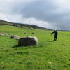 Stone Circle near the trail.