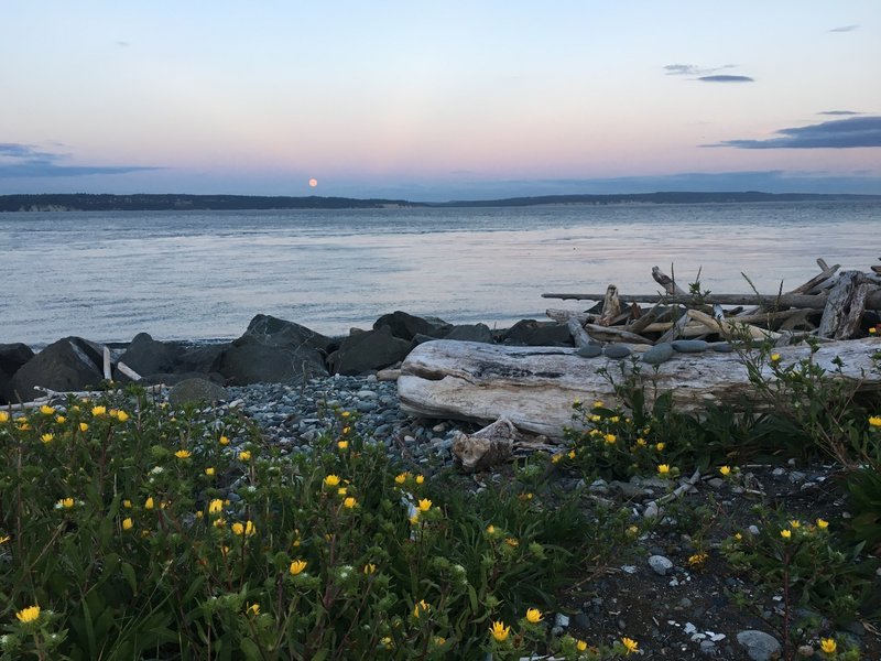 Moonrise from Fort Casey State Park.