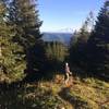 Mt. Rainier from Mt. Washington.