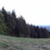 Open area at top of Poo Poo Point.