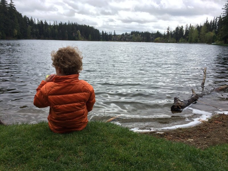 Picnic lakeside at Lake Wilderness.