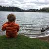 Picnic lakeside at Lake Wilderness.