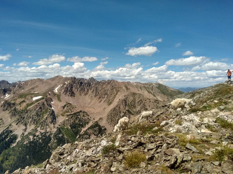 Top of Buffalo looking northwest towards the Red Peaks.