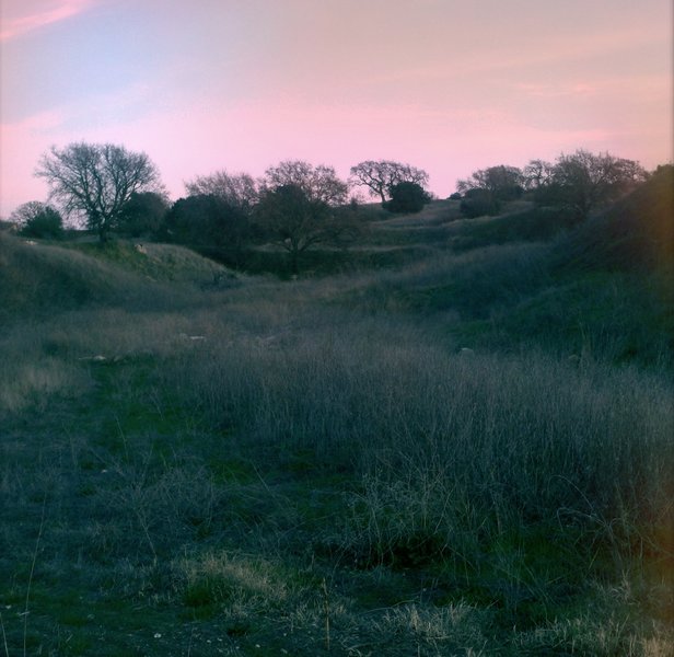 The park at dusk.