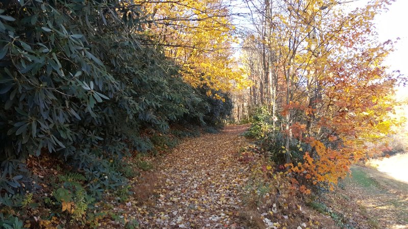 On the way to Pinnacle by Hamburg Reservior.