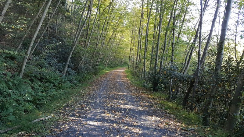 Part of Schuylkill River Trail In Hamburg PA