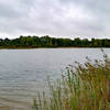 The view along Trout Lake.