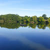 A view of Trout Lake.