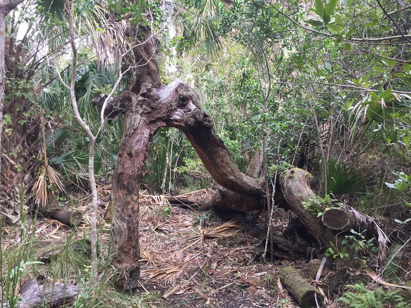 Natural archway.